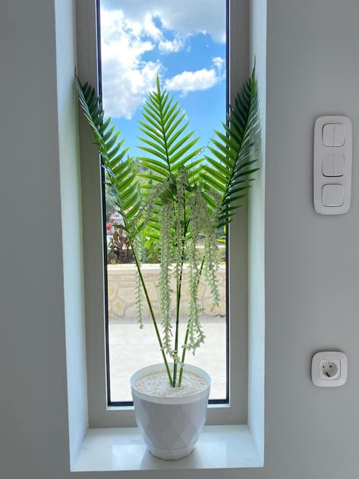 Grey Luxury House Daire Ypsos Dış mekan fotoğraf